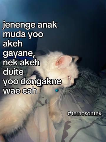 @Andrian☂️