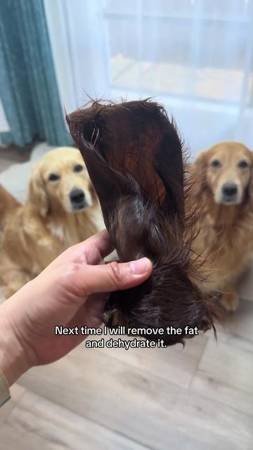 @3goldenretriever