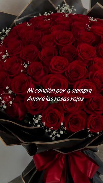 @rosapedraza48