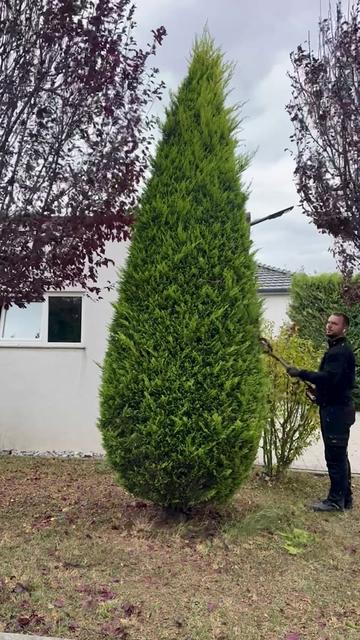 @Garden Dekor Soni