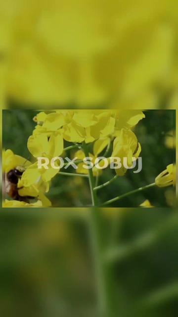 @ZERӨX