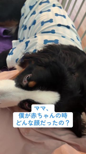@最終兵器姫宮👿ིྀ👑ねむい