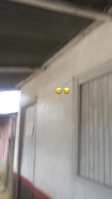 @๐๐ซ๐ก๐ข๐ฏ๐ฐ๐ฌ๐ซ ๐น๐ง