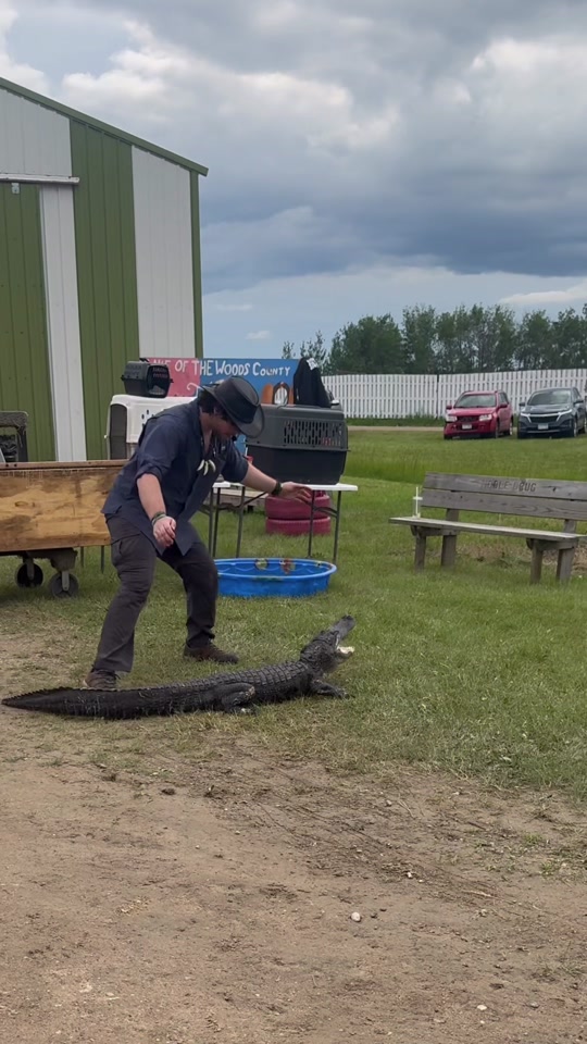 @d_gatorboy
