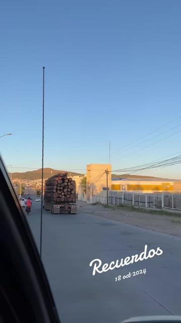 @Chihuahua Trucks