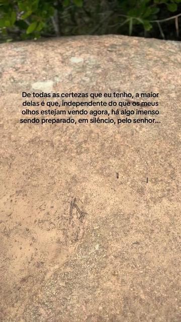 @Danielli Vaz☀️