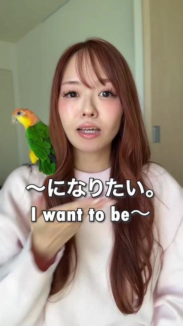 @Learn Japanese | Salmon sensei