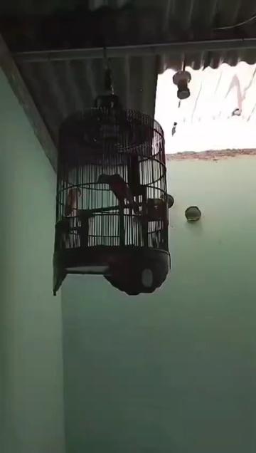 @Arunika09