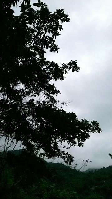 @@Nilakshi (nila)