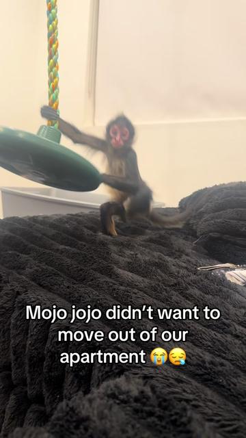 @OJTV & Mojo Jojo🧡