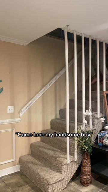 @Arcey