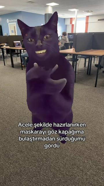 @iikya