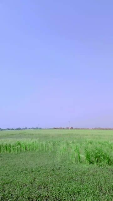 @Shah Jahan Khan