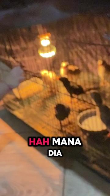 @MommyOta