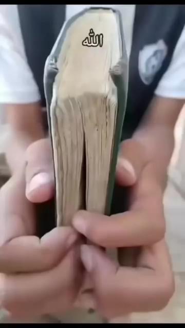 @Mahmoud Rahman