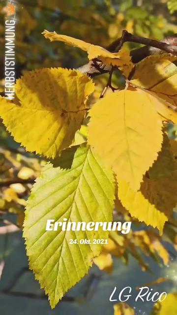 @Balu75756 🇩🇪