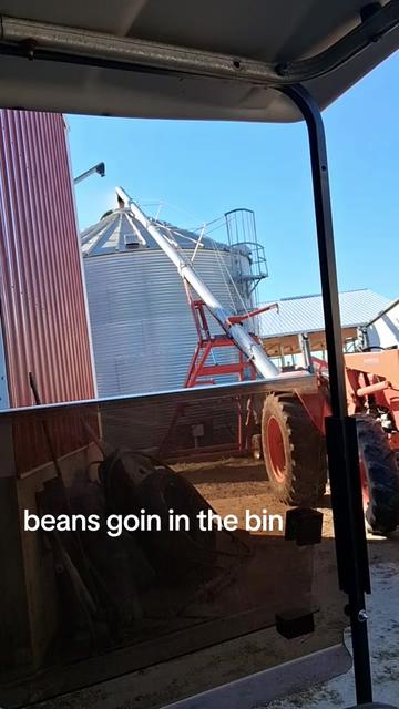 @Taylor | Sah{farm}m