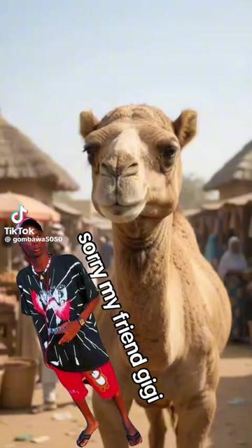 @Pakareee