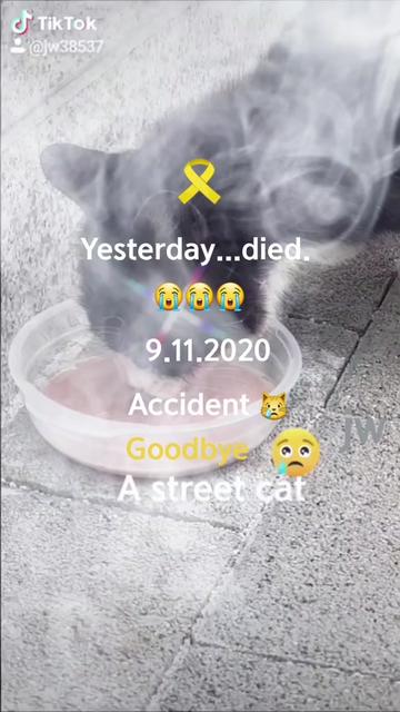 @JW