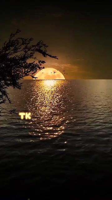 @❤️ TK ❤️