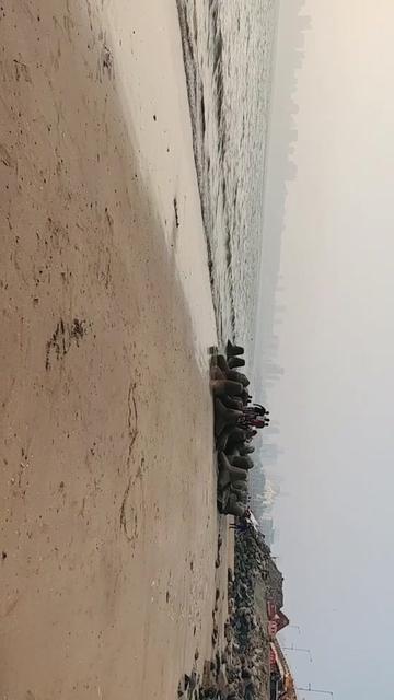 @Jaydip Jatavadiya