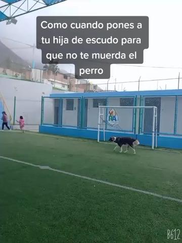 @Vicayquipa