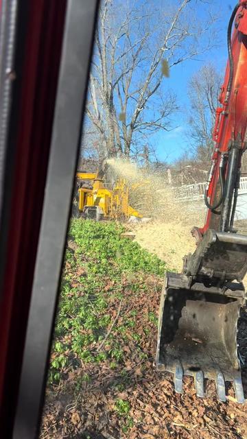 @Chads Tree Service