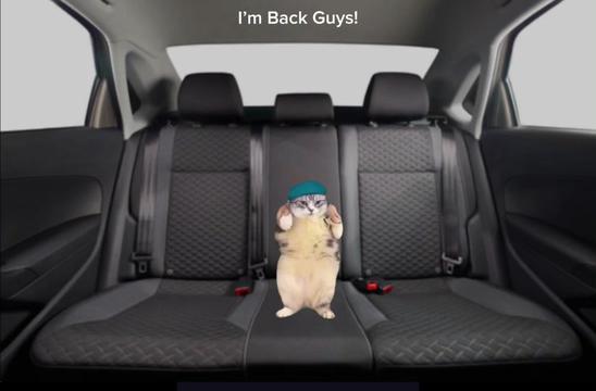@Alf_Bear