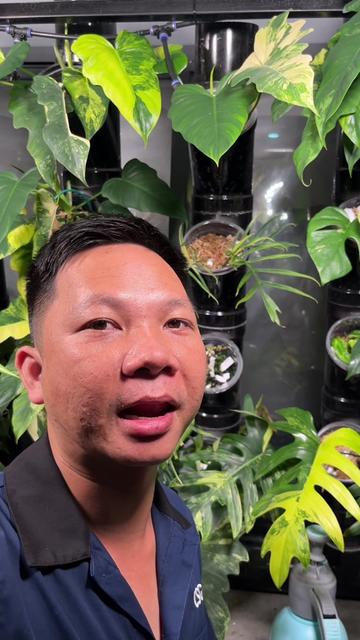@Huy Kiểng Lá