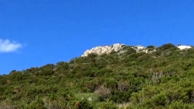@nikos p176