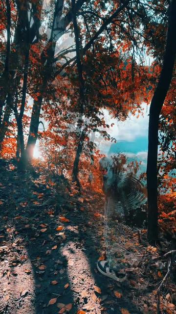 @𝓑и𝓴𝓽𝓸𝓹𝓸вн𝓪