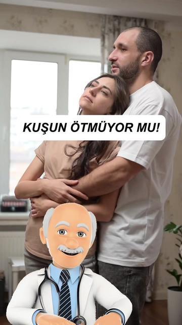 @Bilgi kurdum