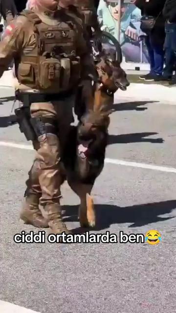 @Kader