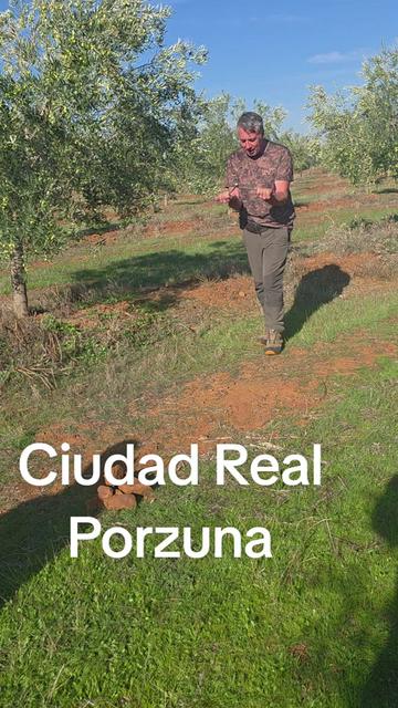 @Zahori Blas Moreno