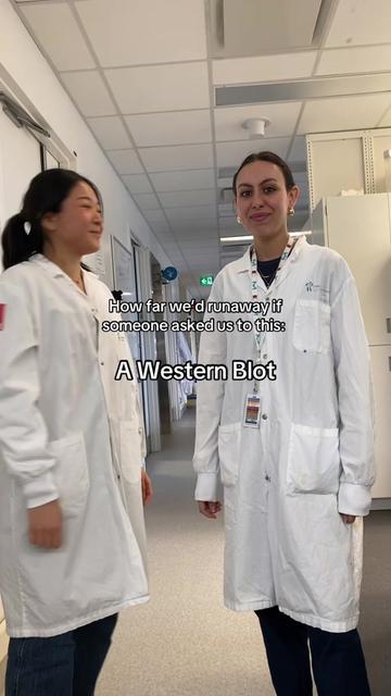 @cluelesslabgirlies