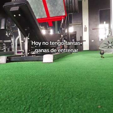 @🥷