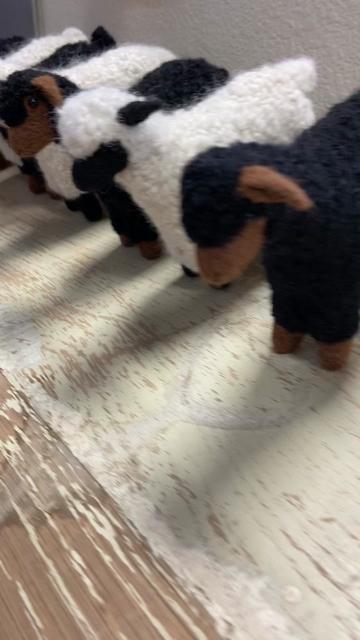 @Jimmy Beans Wool | Yarn Shop