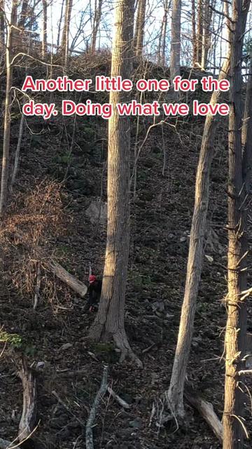 @jctlogging