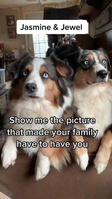 @Jessica Hawkins Raul
