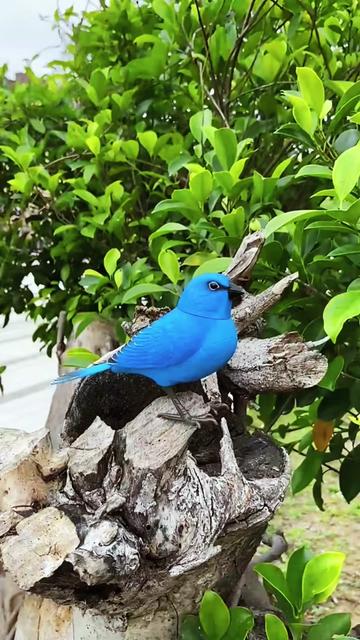 @Tạp ho&aacute; 3 xu