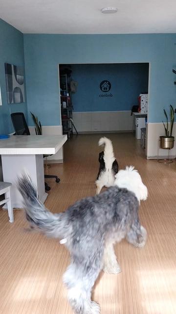 @Canbnb 🐶❤️
