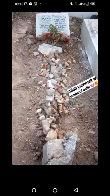 @🕊️chimou🕊️