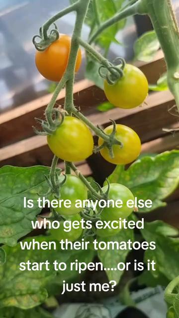 @GrowFruitandVeg