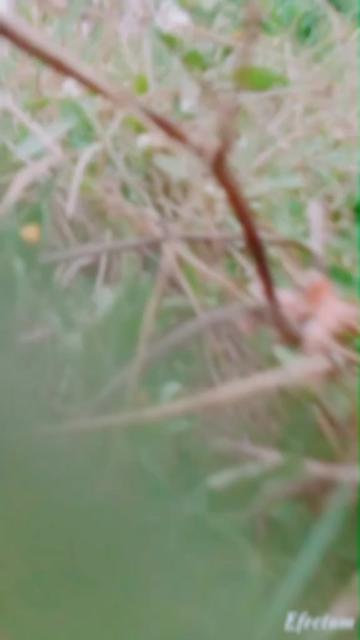 @AjayNegi585