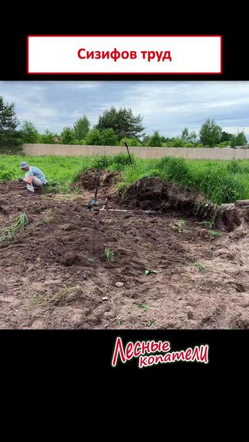 @Лесные Копатели