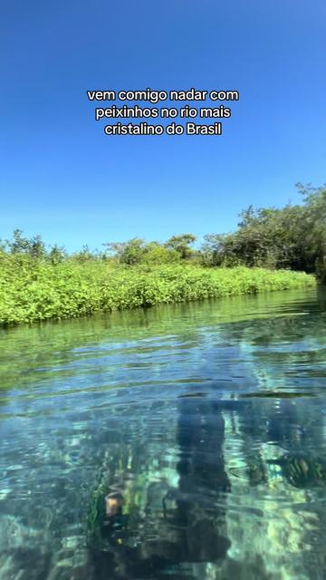 @LULI ENDLICH
