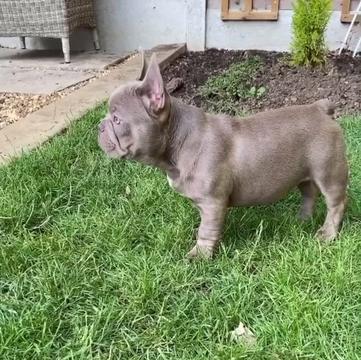 @rudzbulldogz