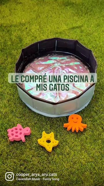 @Cooper, Arya, Aru y Sully 🐾