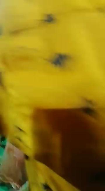 @lavi_somai