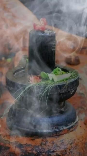 @🌹🌺शिवांश हु मैं 🔱